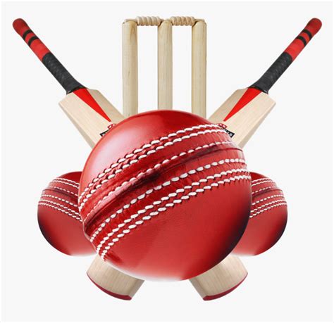 cricket bat logo png